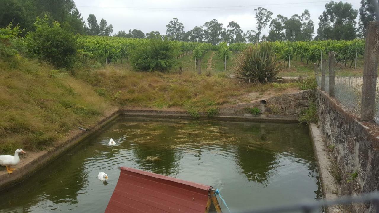 Quinta D'Areda Wine&Pool Experience Vendégház Fafe Kültér fotó