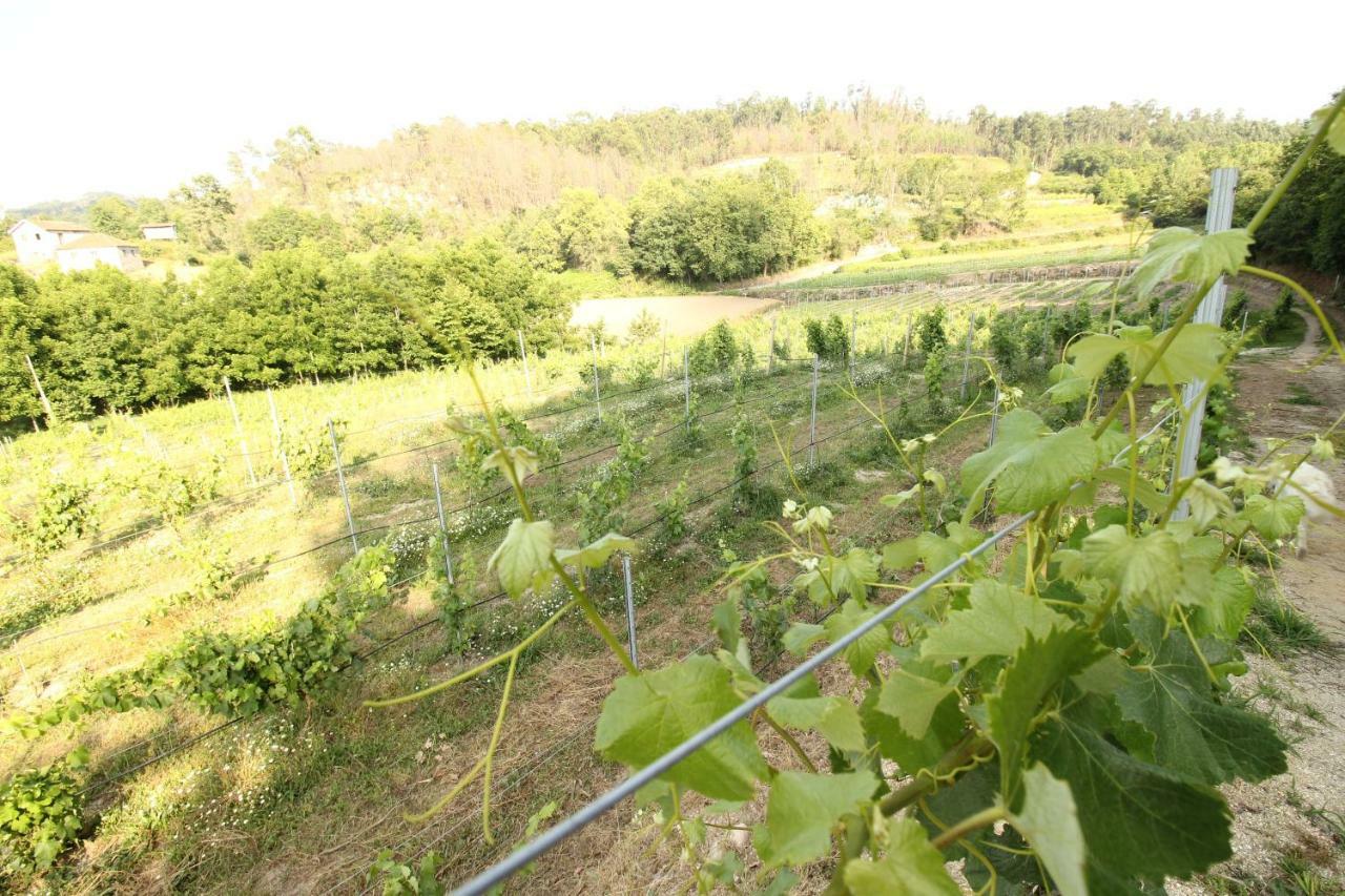 Quinta D'Areda Wine&Pool Experience Vendégház Fafe Kültér fotó